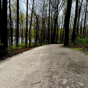 Meet your Posher, Lily